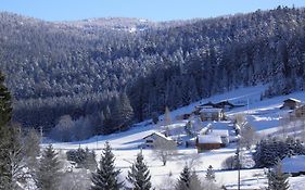 Chalet Ban-sur-Meurthe-Clefcy, 3 pièces, 4 personnes - FR-1-589-150