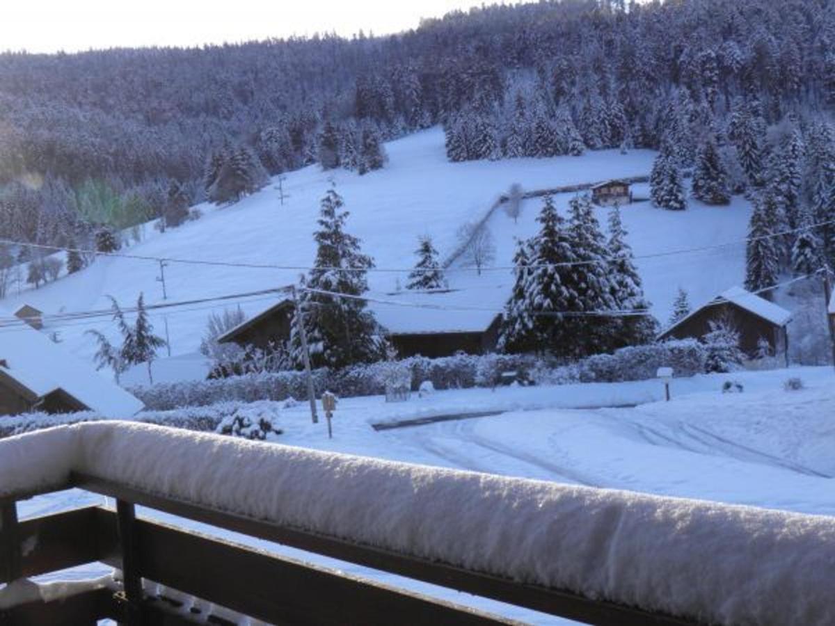 Chalet Ban-sur-Meurthe-Clefcy, 3 pièces, 4 personnes - FR-1-589-150 Extérieur photo