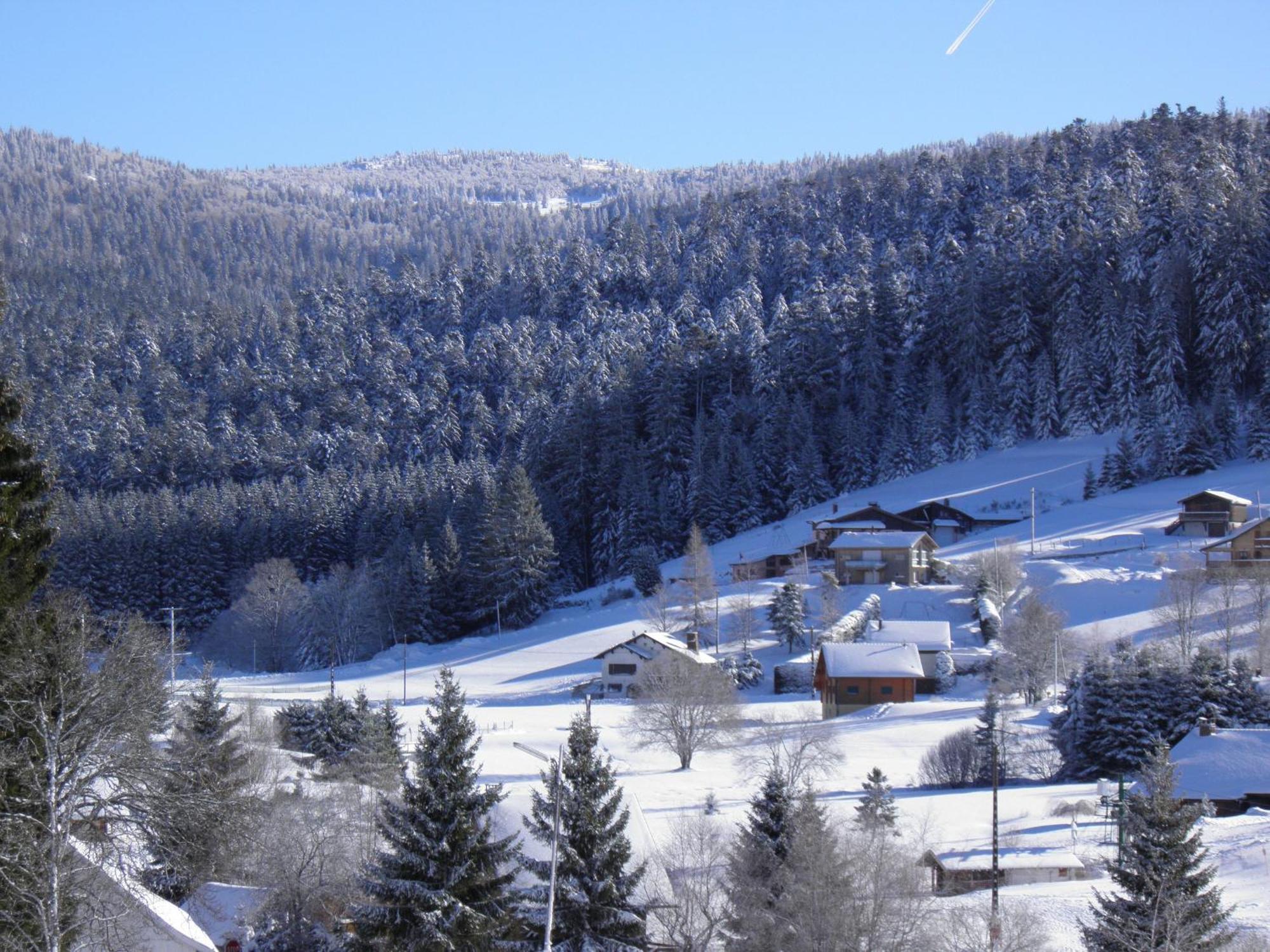 Chalet Ban-sur-Meurthe-Clefcy, 3 pièces, 4 personnes - FR-1-589-150 Extérieur photo